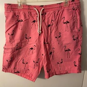 Divided flamingo shorts